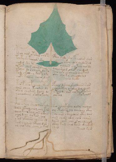Voynich f8r